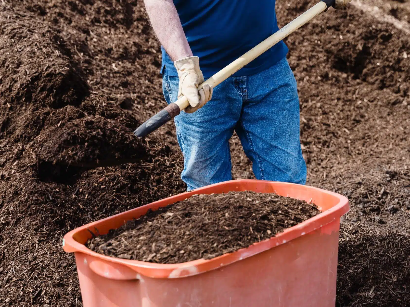 Best Composting Toilets